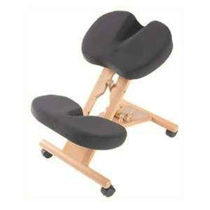 Coccyx Relief Kneeling Chair - Putnams - Back2