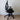 Bodybilt Midcelli Office Chair, Black - Showroom Model Bodybilt