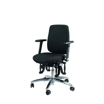 Haider BioSwing 250 iQ Chair - Haider Bioswing - Back2