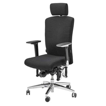 Haider BioSwing 560 iQ Office Chair - Haider Bioswing - Back2