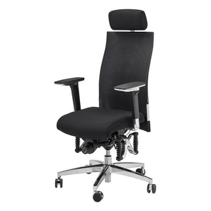 Haider BioSwing 660 iQ Mesh Executive Chair - Haider Bioswing - Back2