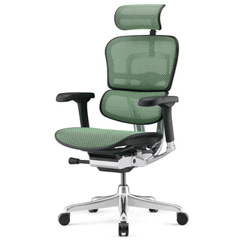 Ergohuman Elite G2 Mesh Office Chair - Green Mesh Black with Polished Aluminium Comfort Workspace