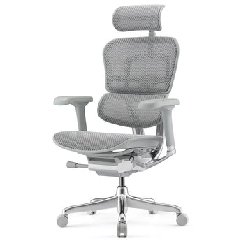Ergohuman Elite Mesh Office Chair - Grey w/ Polished Frame - Comfort Workspace - Back2