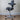 HAG Capisco 8106 Chair, Charcoal Leather w/ Silver Base - Showroom Model