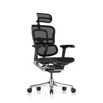 Ergohuman Elite G2 with Headrest Mesh Office Chair - Comfort Workspace - Back2