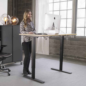 Kinnarps Oberon Sit-Stand Desk - Kinnarps - Back2