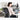 HAG SoFi Mesh Office Chair