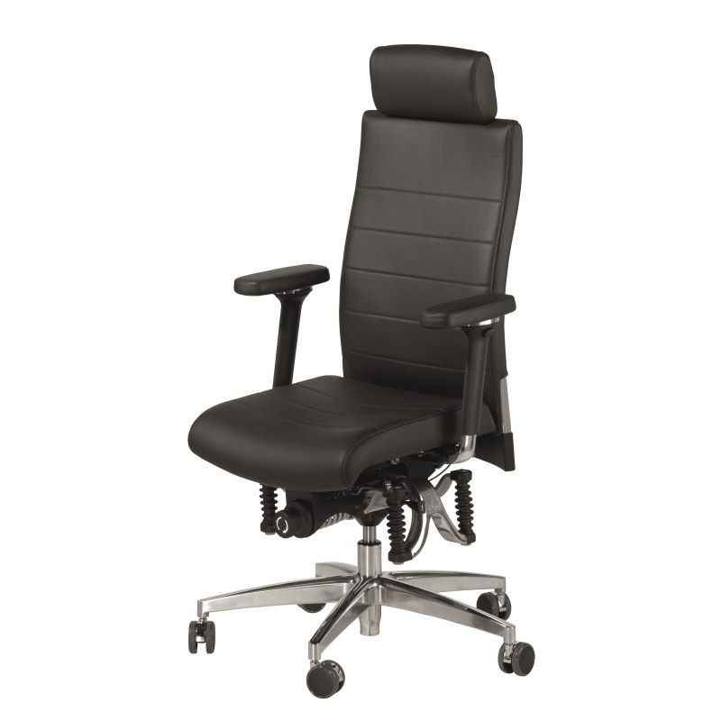 Haider BioSwing 660 IQ Trendline Chair Black Leather Back2 Back2 Haider BioSwing 660 IQ Trendline Chair Black Leather Back2 Back2