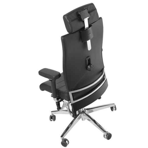 Haider BioSwing 660 IQ Trendline Chair Black Leather Back2 Back2 