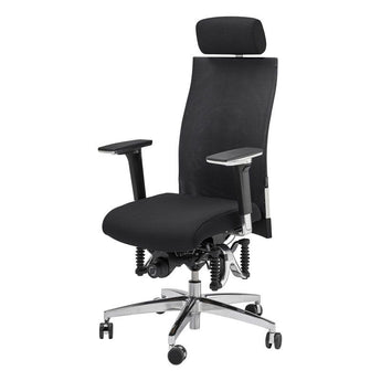 Haider BioSwing 660 iQ Mesh Executive Chair - Haider Bioswing - Back2