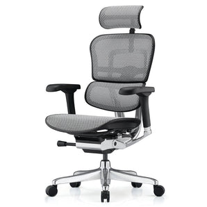 Ergohuman Elite G2 Mesh Office Chair - Grey Mesh w/ Black Frame - Comfort Workspace - Back2