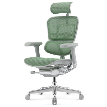 Ergohuman Elite G2 Mesh Office Chair - Grey Frame w/ Green Mesh - Comfort Workspace - Back2