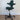 HAG Capisco 8106 Saddle Chair, Dark Green Wool w/ Black Base - Showroom Model