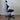 HAG Capisco 8107 Saddle Chair, Black Leather w/ Black Base - Showroom Model