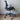 Herman Miller Setu Office Chair, Nightfall - Showroom Model - Herman Miller - Back2