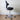 HAG Capisco 8106 Saddle Chair, Dark Grey Wool w/ Silver Base - Showroom Model - HAG - Back2