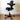 HAG Capisco 8106 Chair, Black Leather w/ Black Base - Showroom Model - HAG - Back2