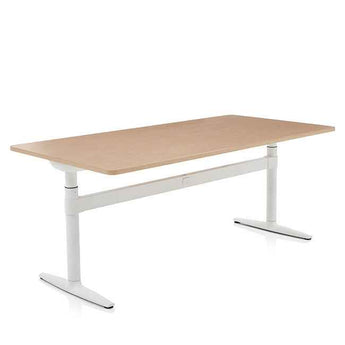 Herman Miller Atlas Desk - Herman Miller - Back2