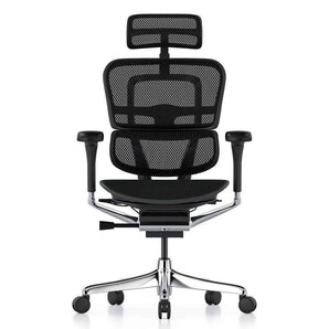 Ergohuman Elite G2 with Headrest Mesh Office Chair - Comfort Workspace - Back2