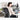 HAG SoFi Mesh 7500 Chair - HAG - Back2