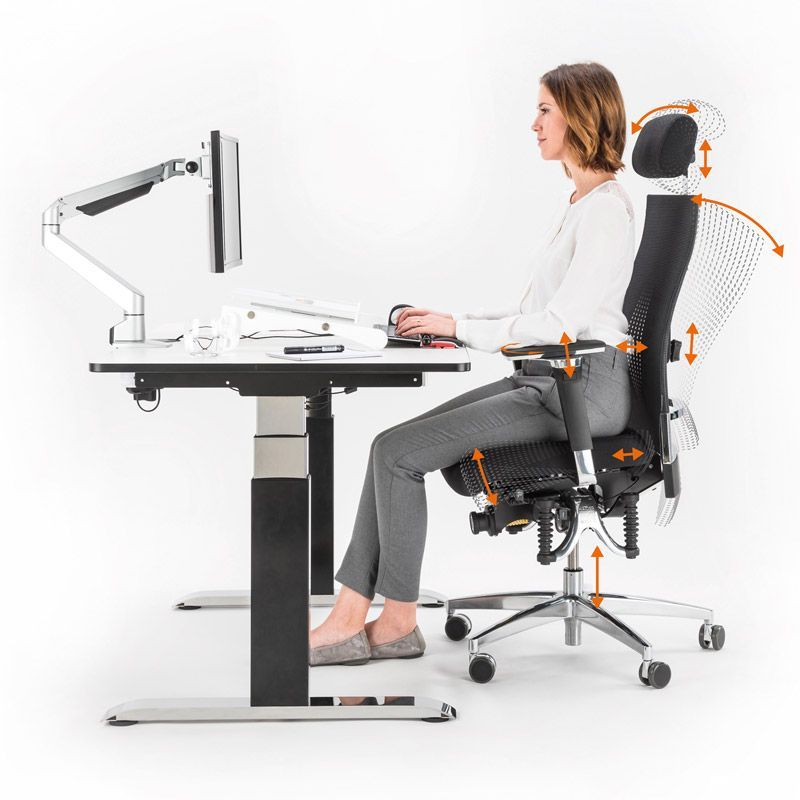 Haider BioSwing 660 iQ – Mesh Executive Chair | Back2 – Back2 International